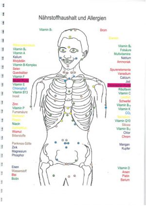 Naehrstoffhaushalt_und_Allergien_Cover